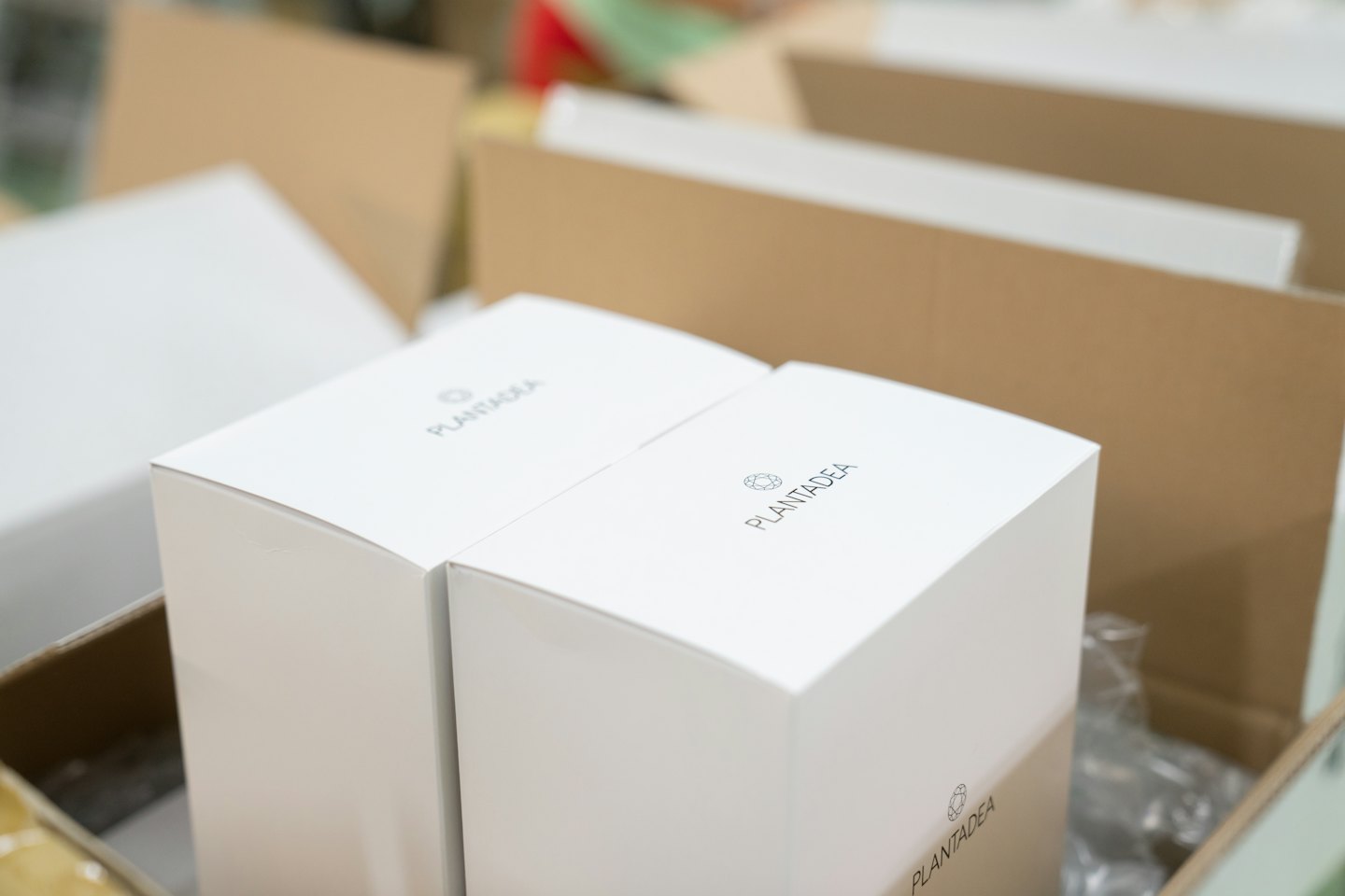 Two PLANTADEA product boxes inside a shipping box.